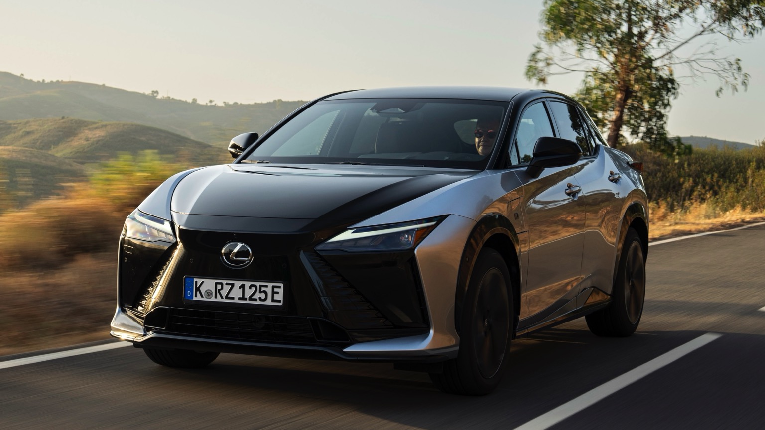 Lexus RZ laadkabel